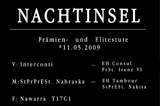 Nachtinsel
