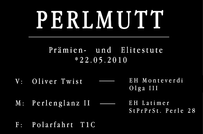 Perlmutt