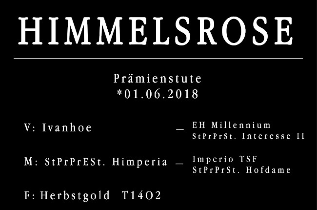 Himmelsrose
