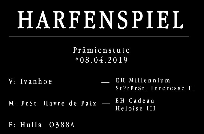 Harfenspiel