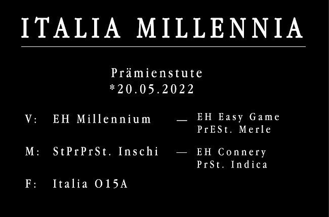 Italia Millennia