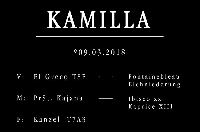 Kamilla