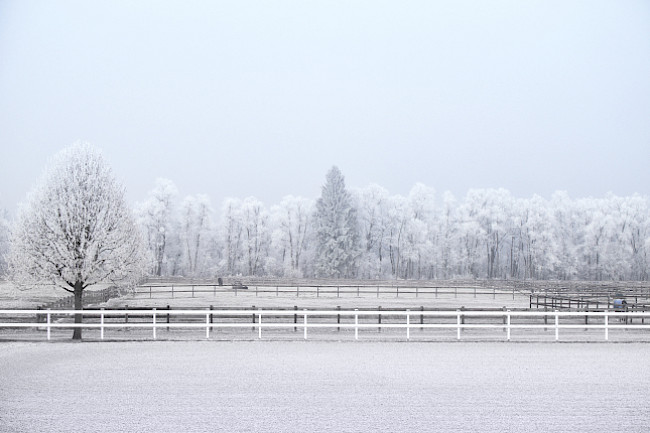 Impressionen