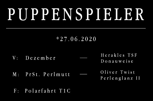 Puppenspieler
